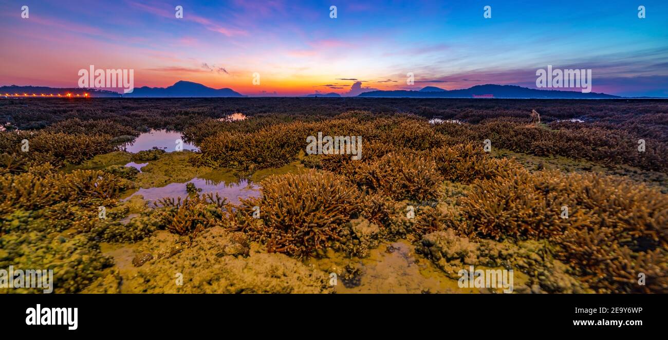 Panorama beautiful sunset or sunrise seascape amazing cloud at sunrise light above the coral reef in Rawai sea Phuket Severe low tide corals growing i Stock Photo