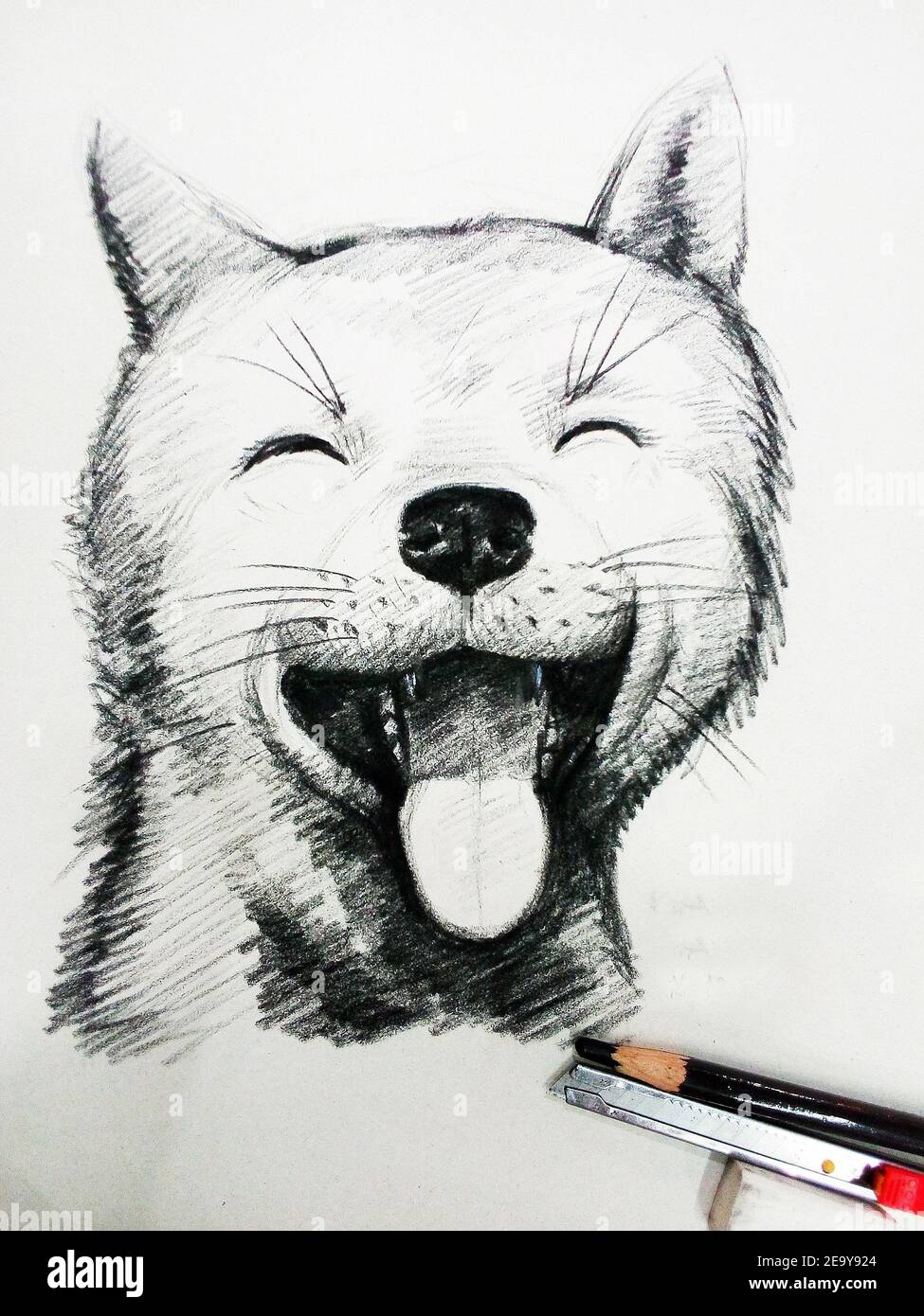 Art ,Drawing ,Fine art ,Sketch, Cute, Cat ,Thailand ,  stroke drawing Stock Photo