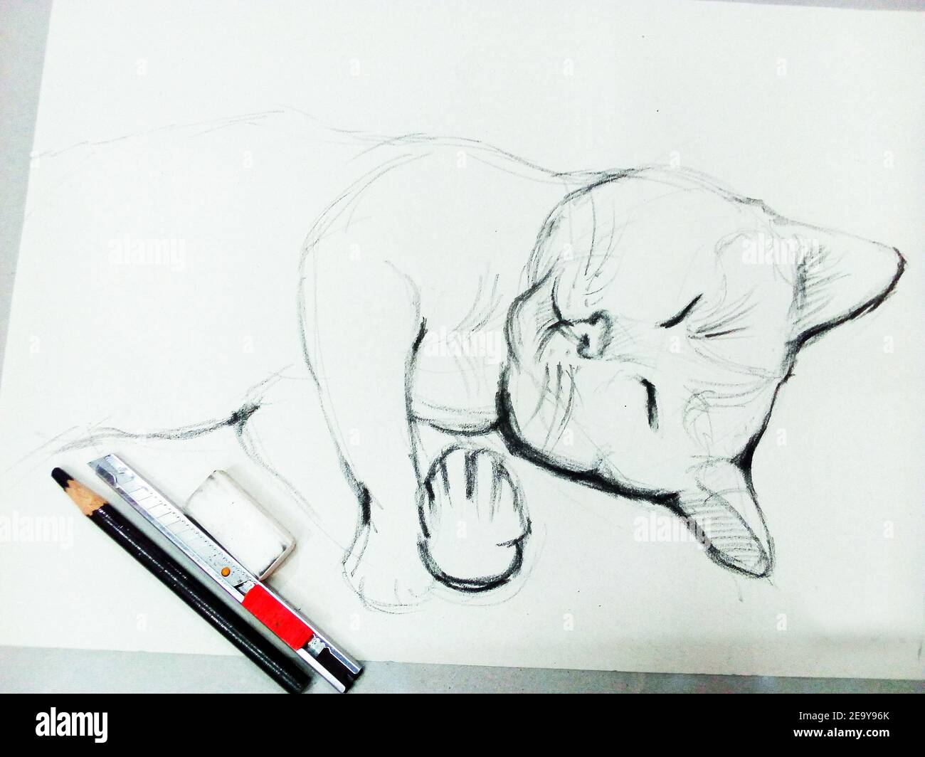 Art ,Drawing ,Fine art ,Sketch, Cute, Cat ,Thailand ,  stroke drawing ,  meaow , Meaowing Stock Photo