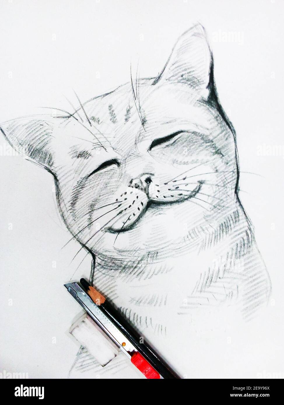 Em alta em arte esta semana  Cat drawing, Cat sketch, Animal drawings