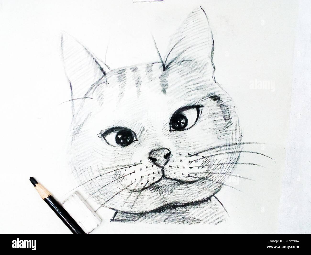 Art ,Drawing ,Fine art ,Sketch, Cute, Cat ,Thailand , meaow , Meaowing Stock Photo
