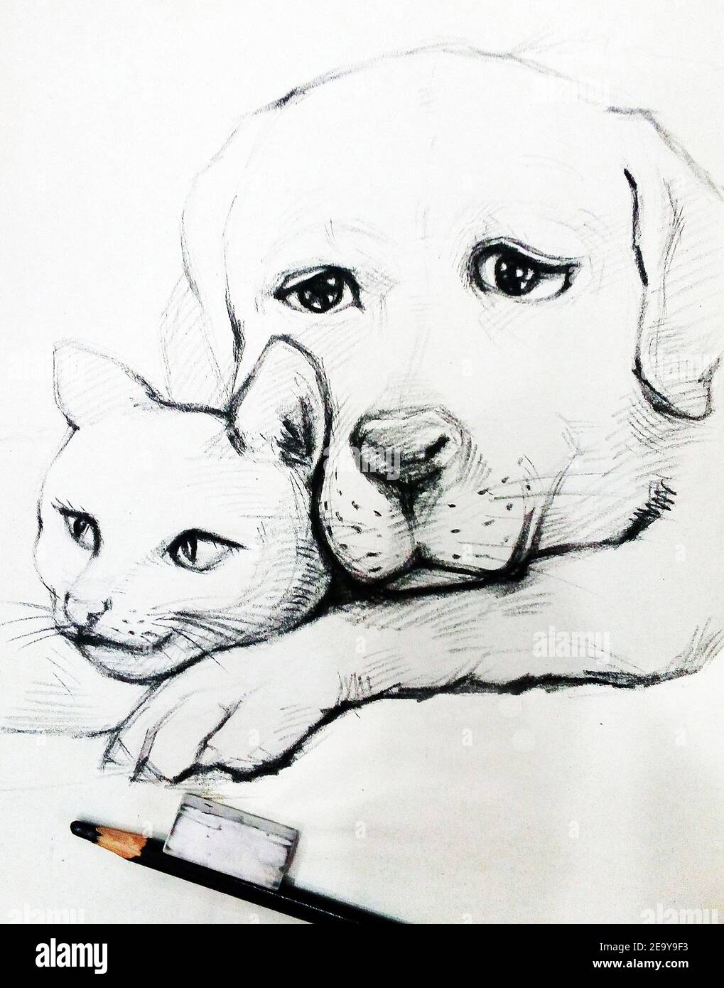 Art ,Drawing ,Fine art ,Sketch ,Cute dog, Thailand Stock Photo - Alamy