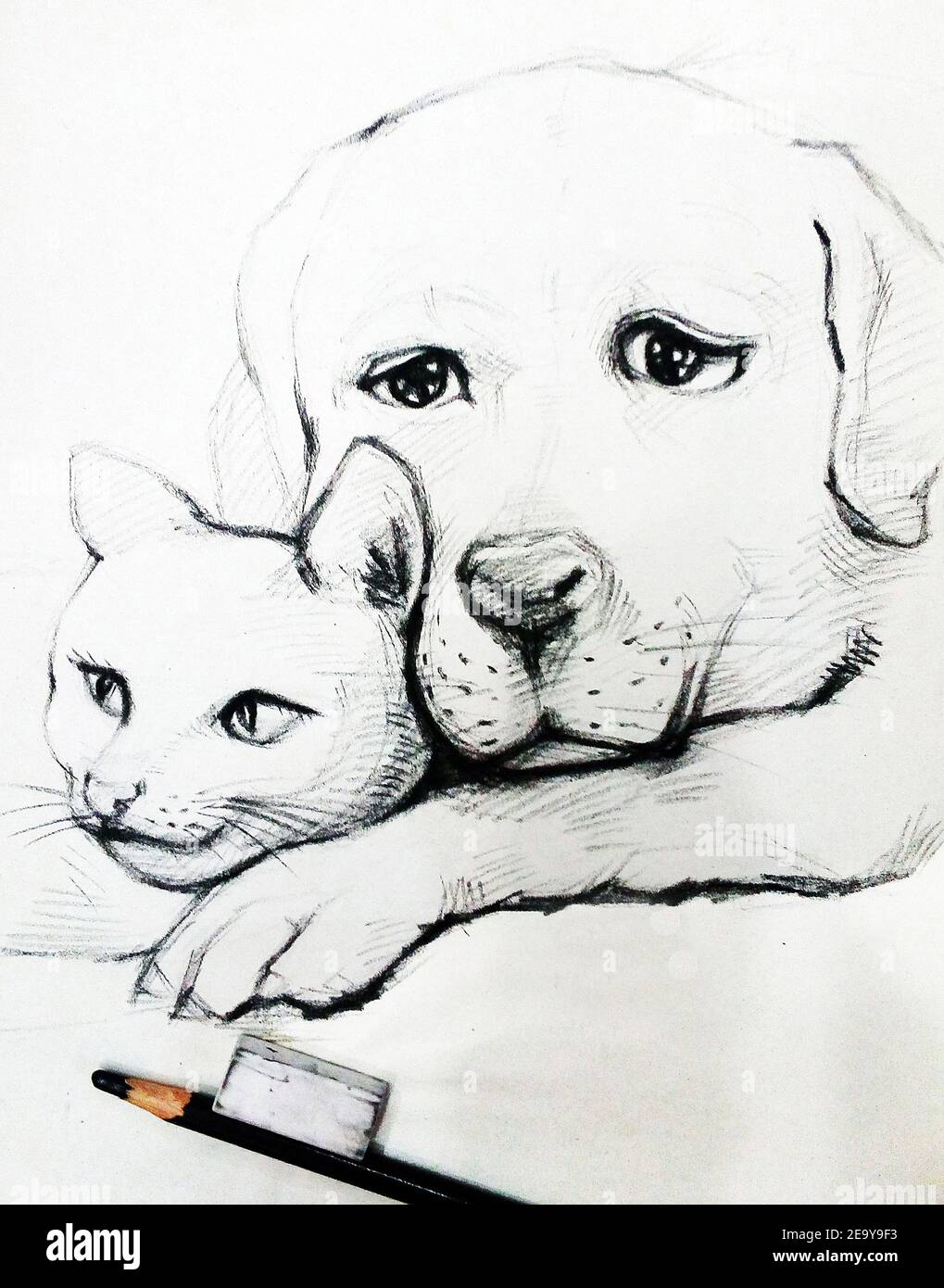 dog pencil sketch