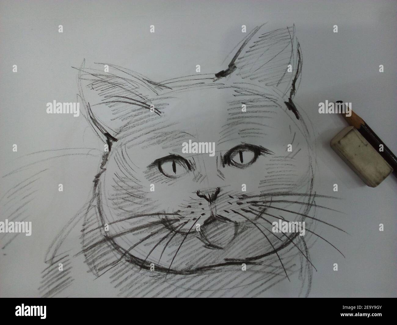 Art ,Drawing ,Fine art ,Sketch, Cute, Cat ,Thailand , meaow , Meaowing Stock Photo