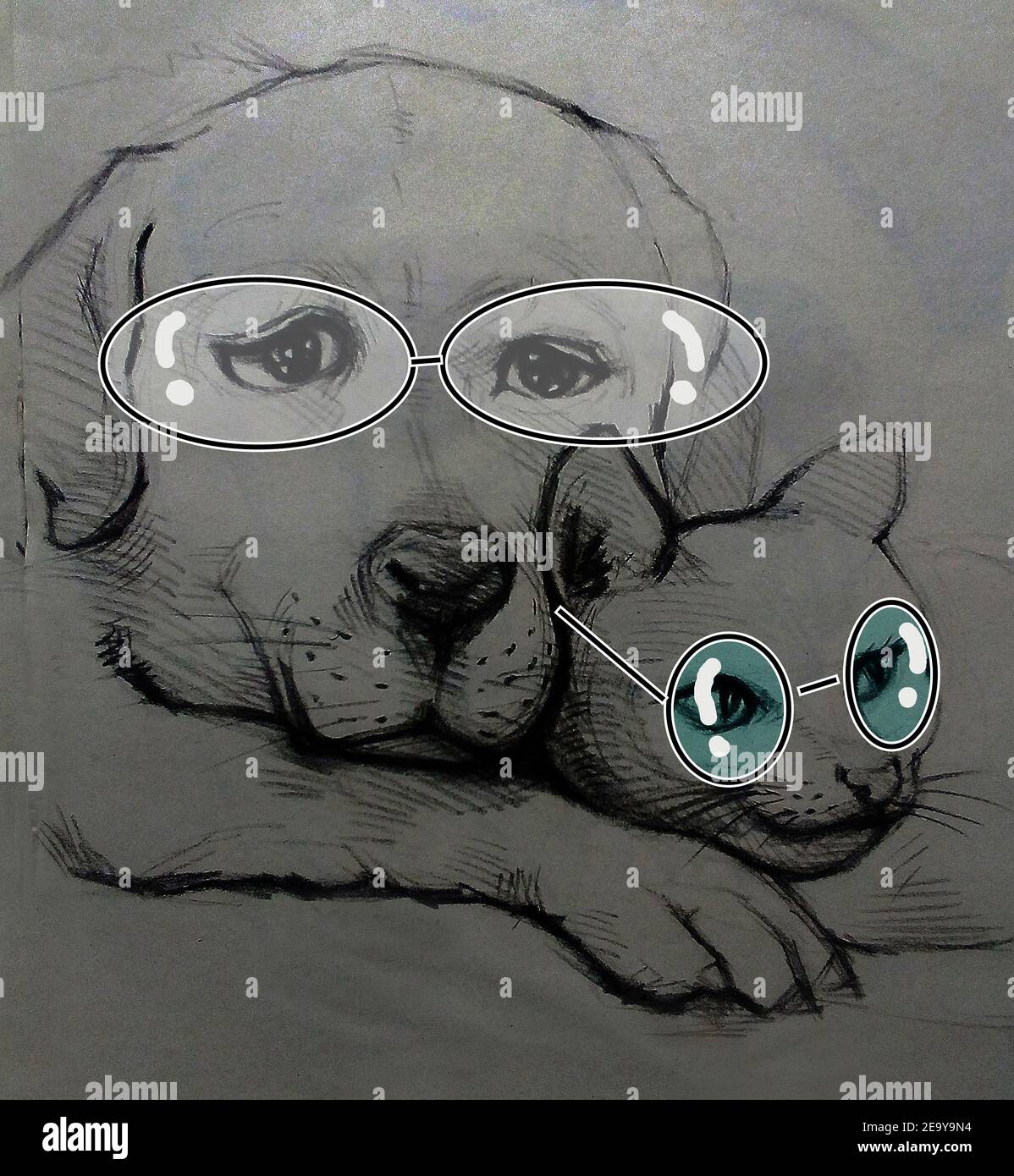 Art ,Drawing ,Fine art ,Sketch ,Cute dog, Thailand , wearing glasses Stock Photo