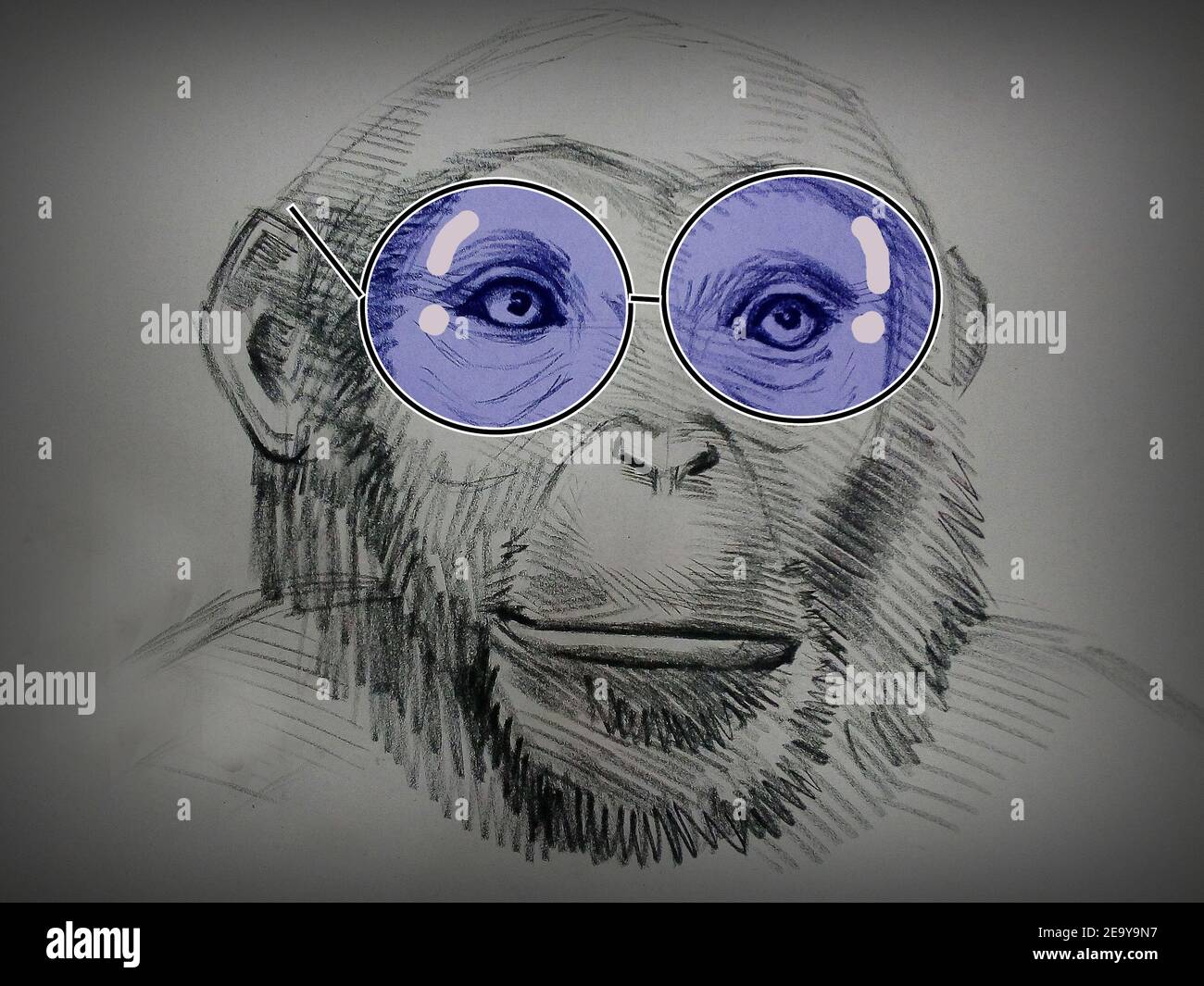17,706 Monkey Sketch Images, Stock Photos & Vectors | Shutterstock