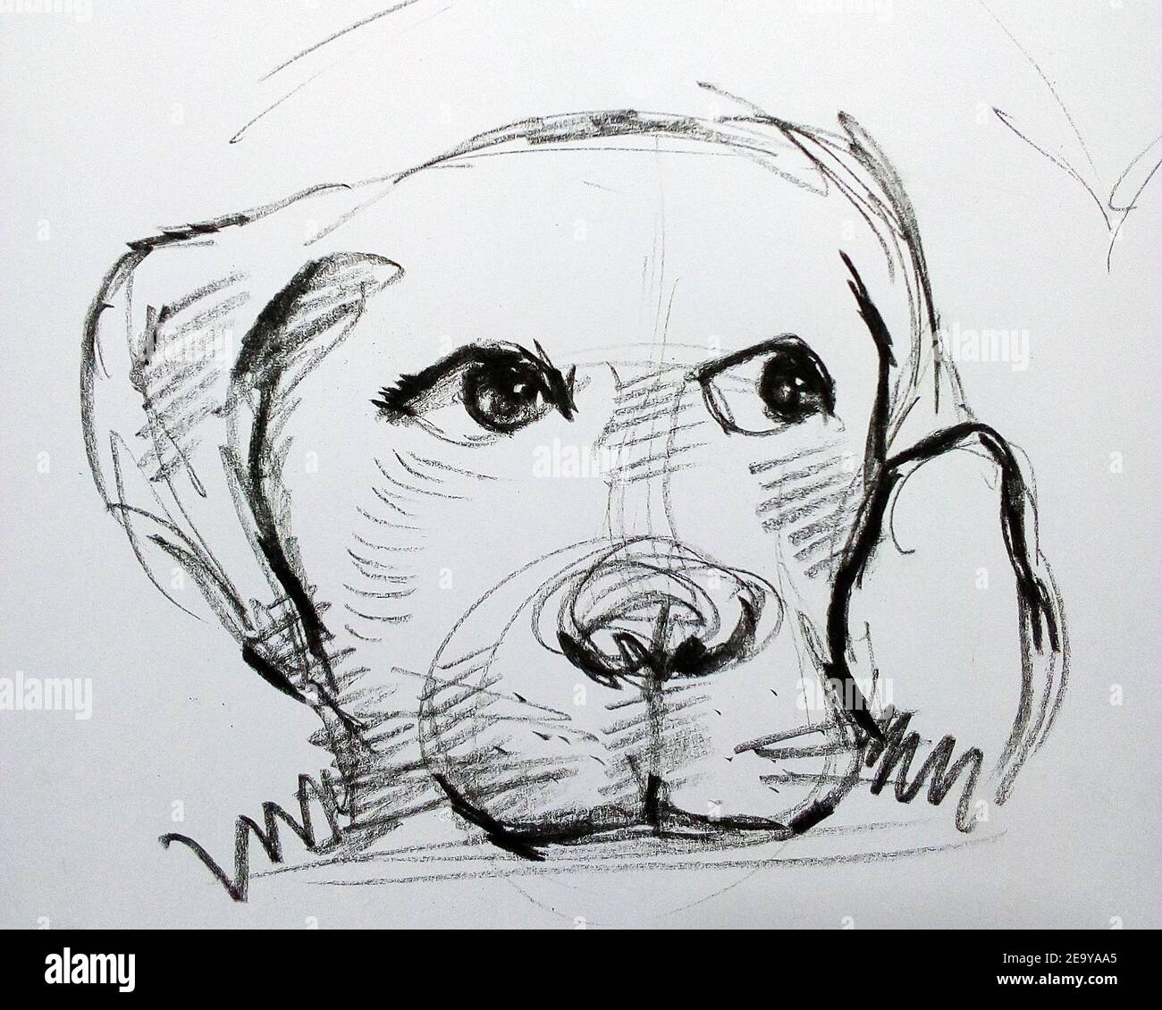Art ,Drawing ,Fine art ,Sketch ,Cute dog, Thailand Stock Photo