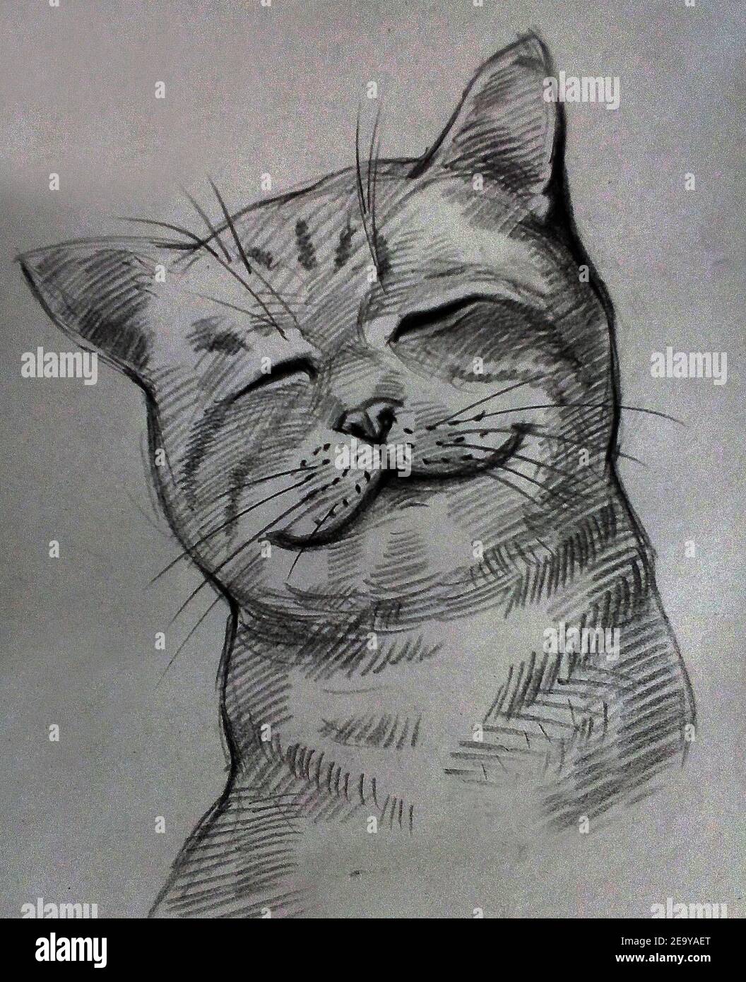 Art ,Drawing ,Fine art ,Sketch, Cute, Cat ,Thailand ,  stroke drawing , meaow , Meaowing Stock Photo