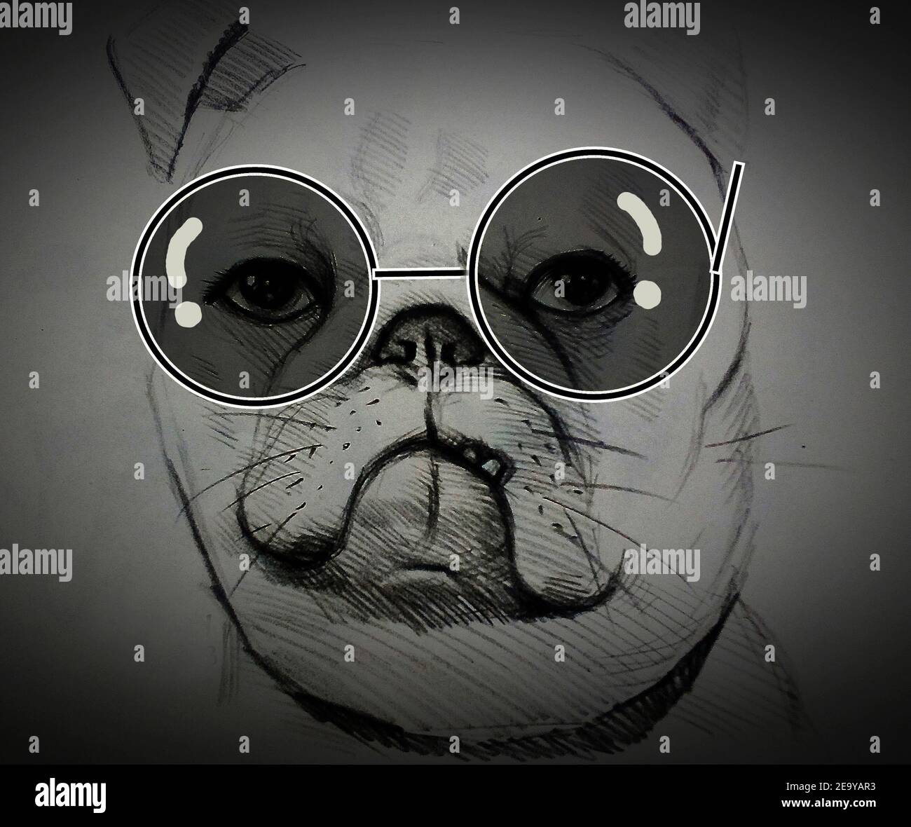 Art ,Drawing ,Fine art ,Sketch ,Cute  bulldog, Thailand , wearing glasses Stock Photo