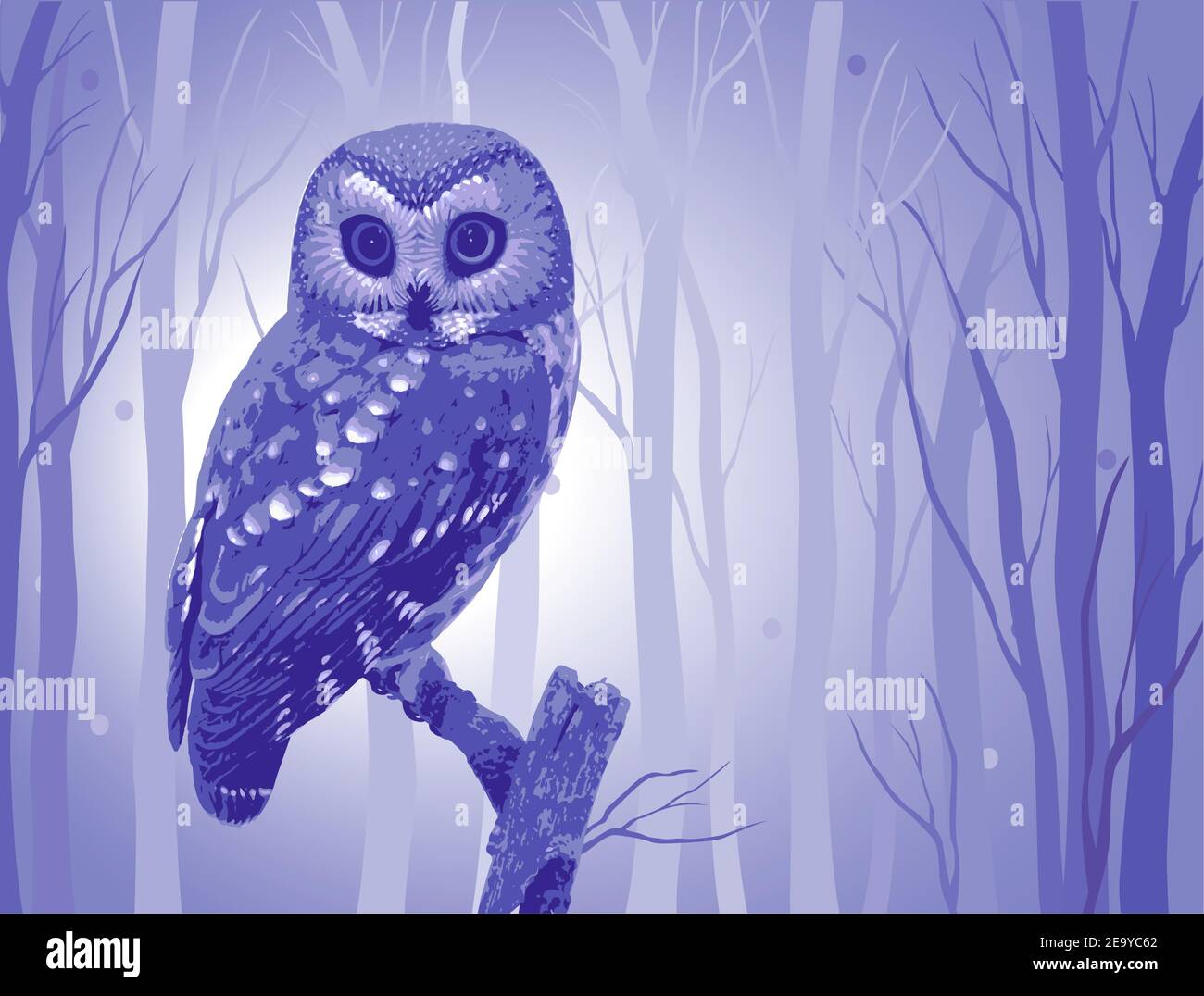 Magic wise owl at winter fairy forest. Vector drawing. Stock Vector