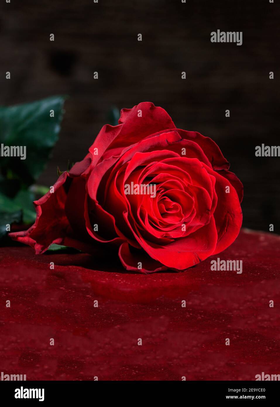 Love symbol flower hi-res stock photography and images - Alamy