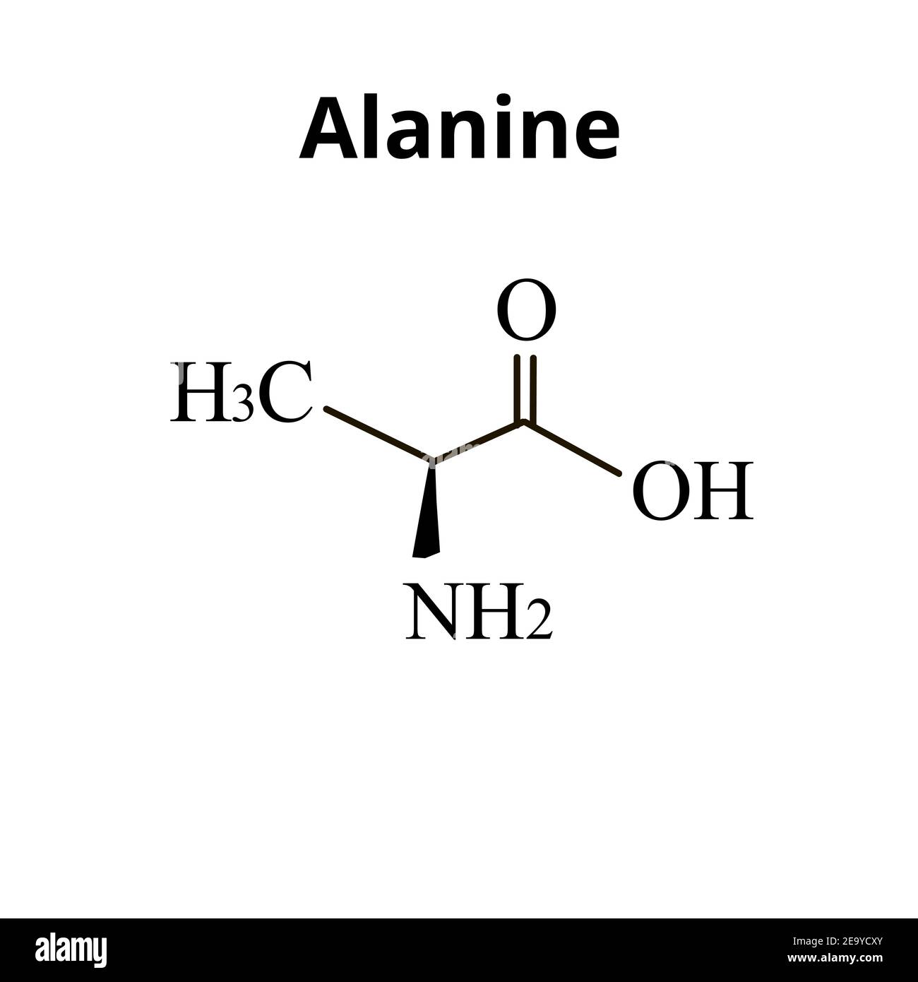 Alanine is an amino acid. Chemical molecular formula Alanine amino acid. Vector illustration on isolated background Stock Vector