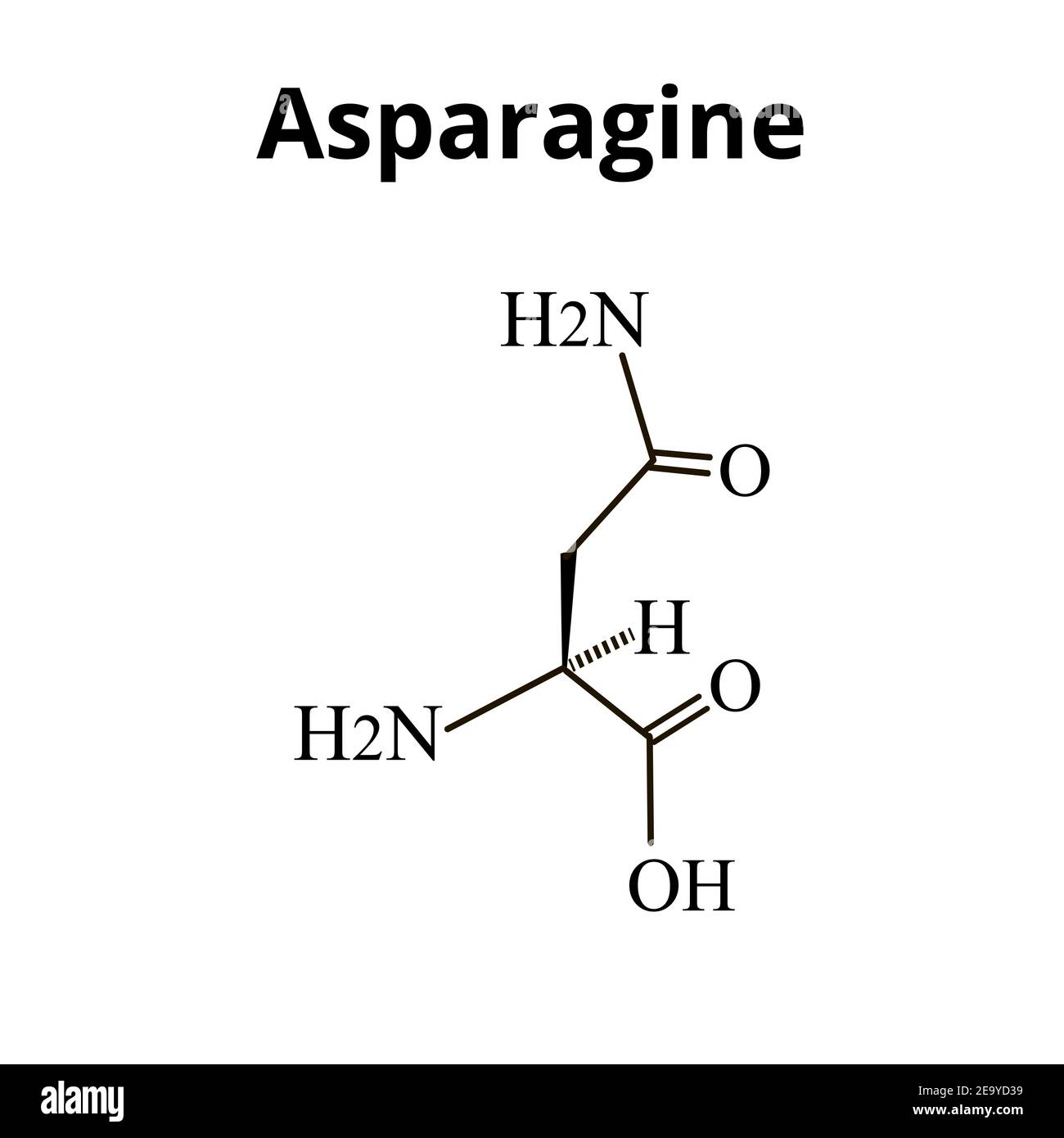 asparagine amino acid structure