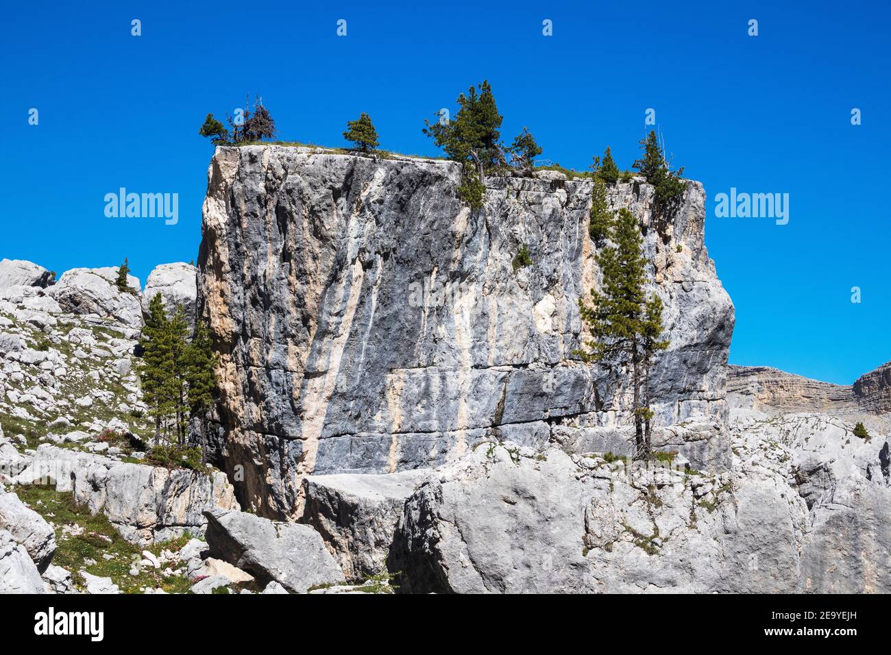 Rocks and Pinus cembra trees. Fanes valley. Italian Alps. Europe. Stock Photo