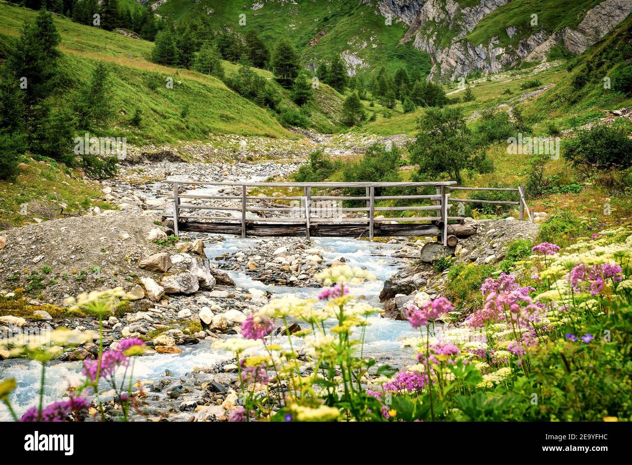 Old wooden bridge over a river surrounded with colorful flowers ...