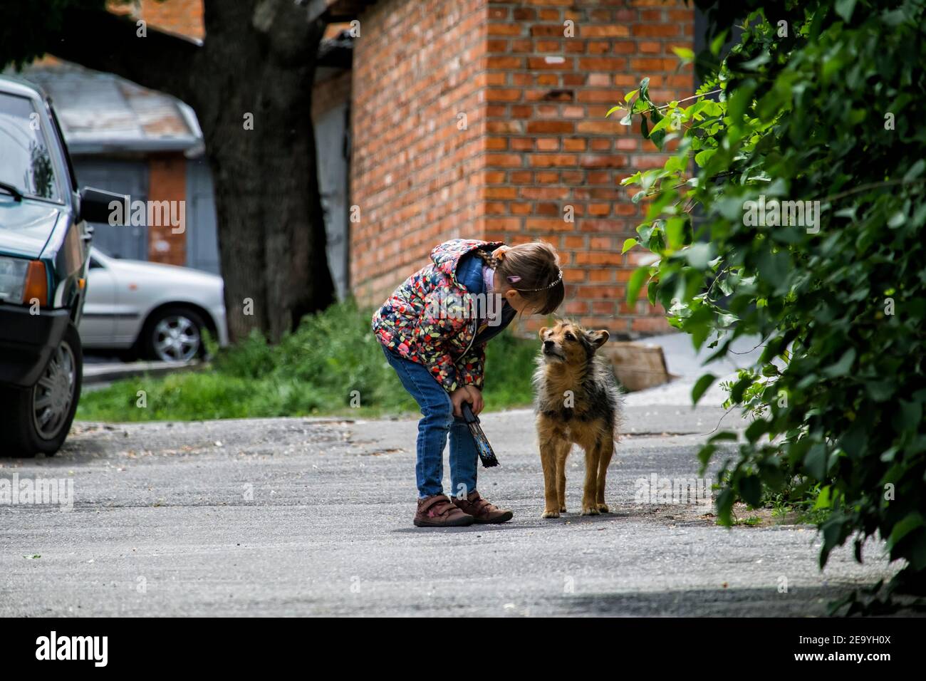 Baby girl leaned towards a stray dog and explains something to her. The dog listens attentively to the girl Stock Photo