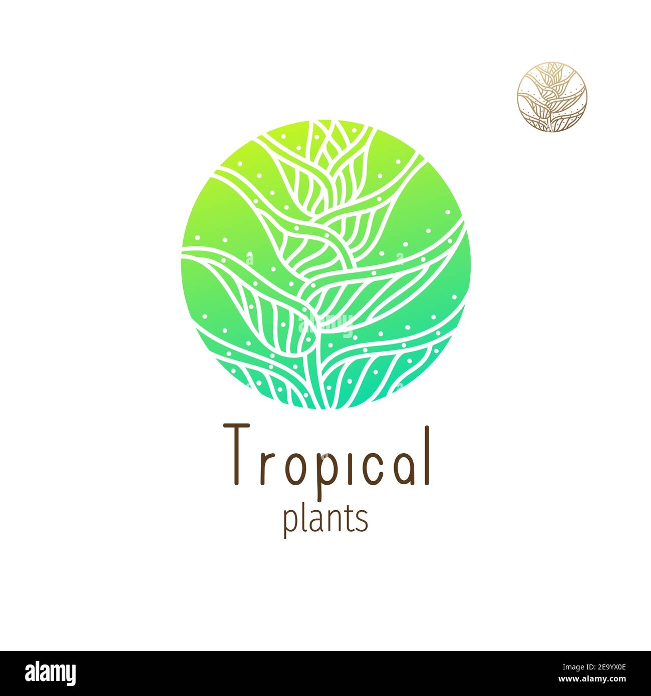Tropical jungle logo Stock Vector Image & Art - Alamy