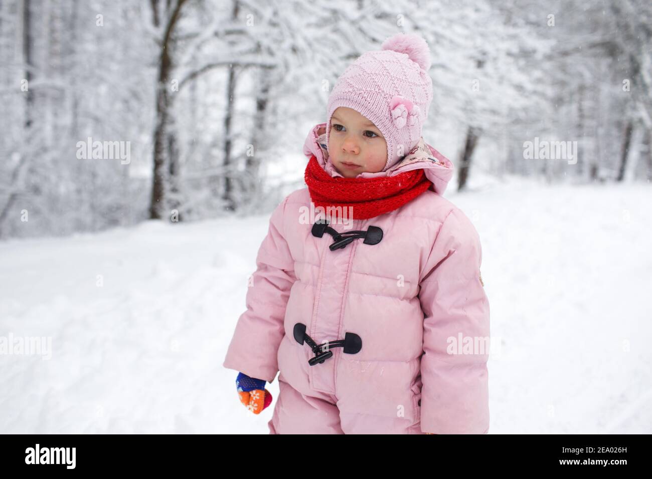 a little girl in a pink jacket stands in a snowy forest. Children's ...