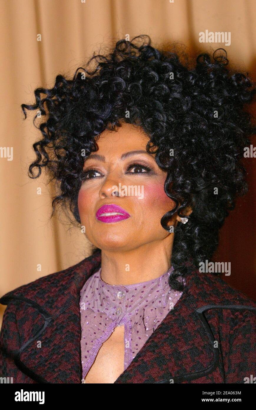 U.S. singer Diana Ross is presented with the Great Vermeil Medal of