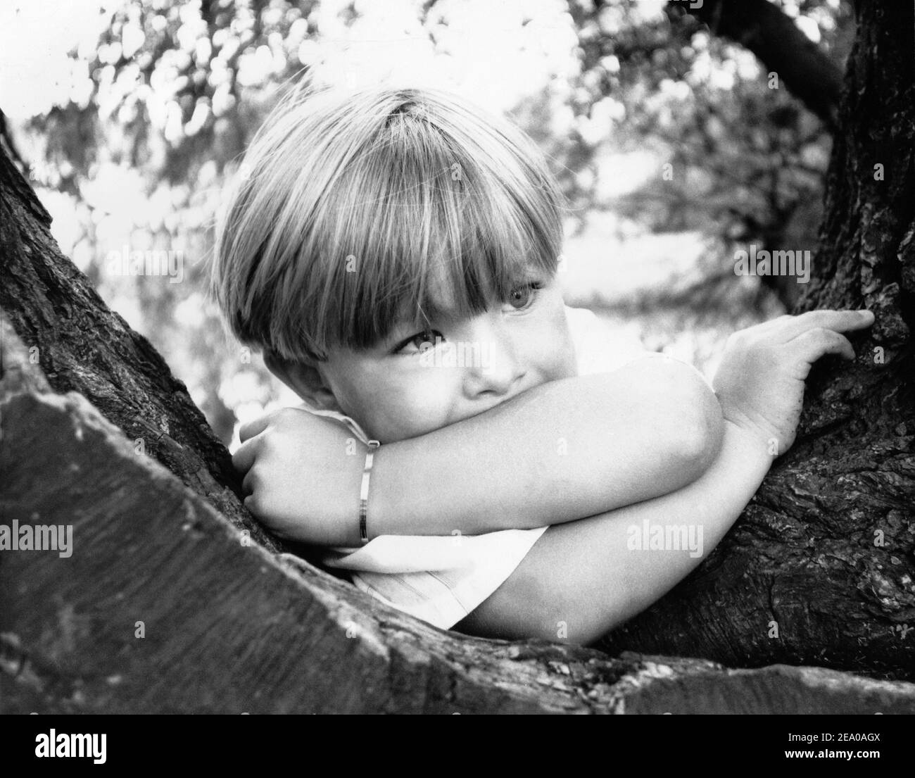 monocrhome scan of print of little boy posing on tree Stock Photo