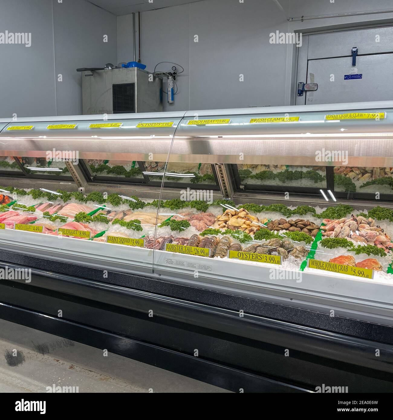 Orlando,FL USA January 18, 2021 The seafood aisle of a Bravo Market