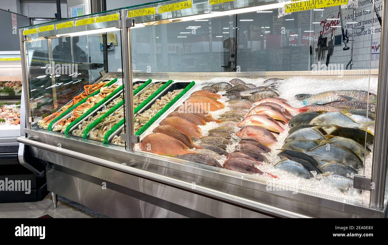 Orlando,FL USA January 18, 2021 The seafood aisle of a Bravo Market