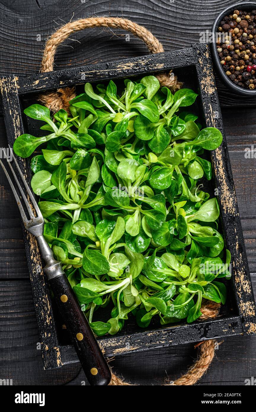 Fresh green lambs lettuce salad leaves on a wooden tray. Black wooden background. Top view Stock Photo