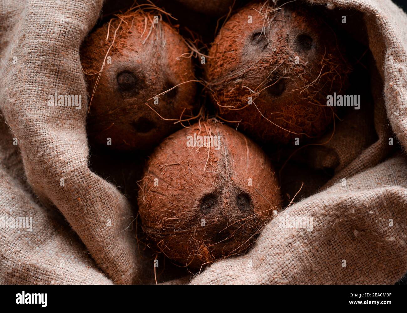 Coconut coconuts open and close delicious in burlap Stock Photo Alamy