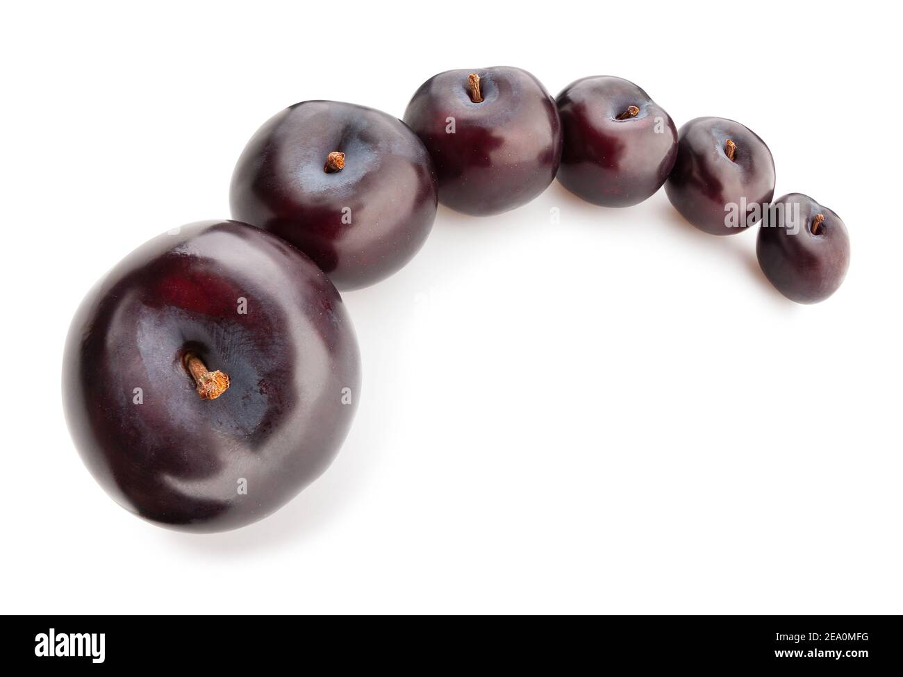 deep red burgundy plum path isolated on white Stock Photo