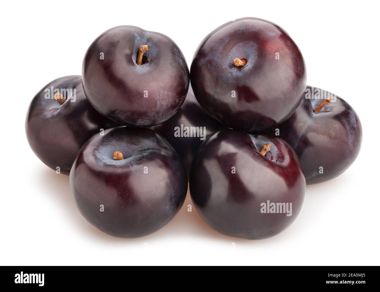 deep red burgundy plum path isolated on white Stock Photo