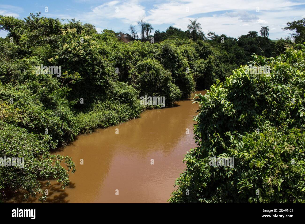 Sao Lourenco river landscape located at Ibitinga city, state of Sao Paulo Stock Photo