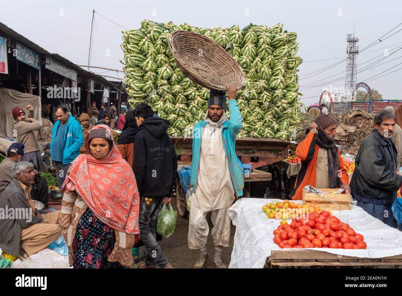 Lahore's Fruit and Vegetable market of Badami Bagh is the biggest