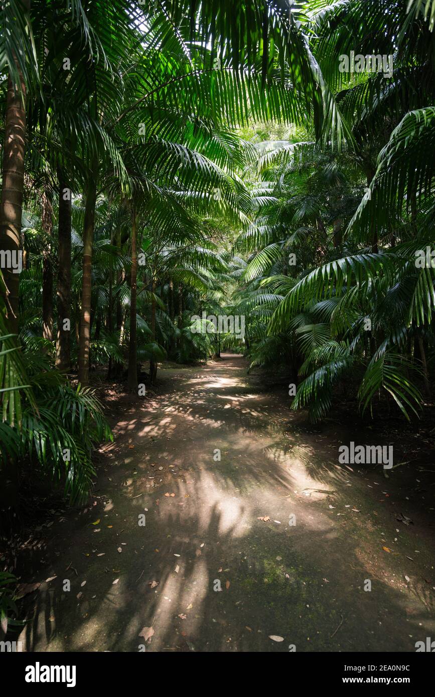 Vertical shot walkway through hi-res stock photography and images - Alamy