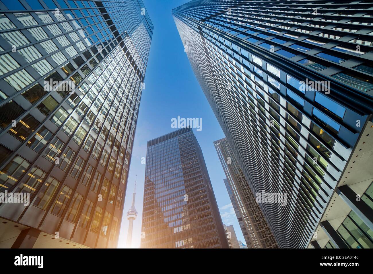 Scenic Toronto financial district skyline and modern architecture