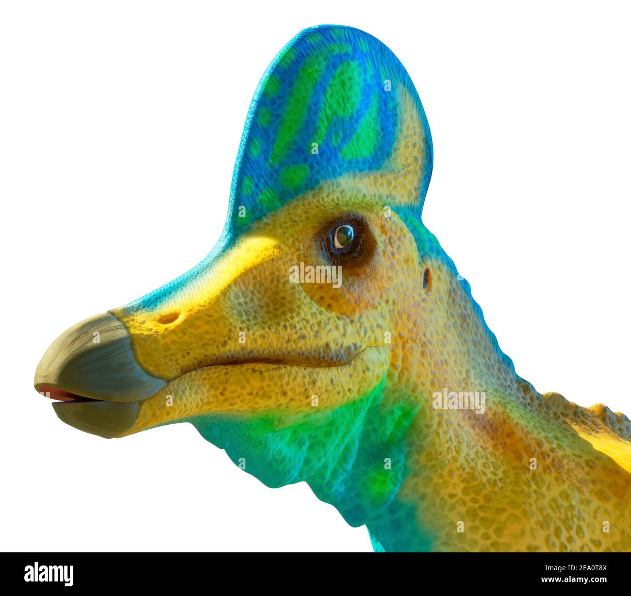 Corythosaurus Casuarius High Resolution Stock Photography And Images Alamy