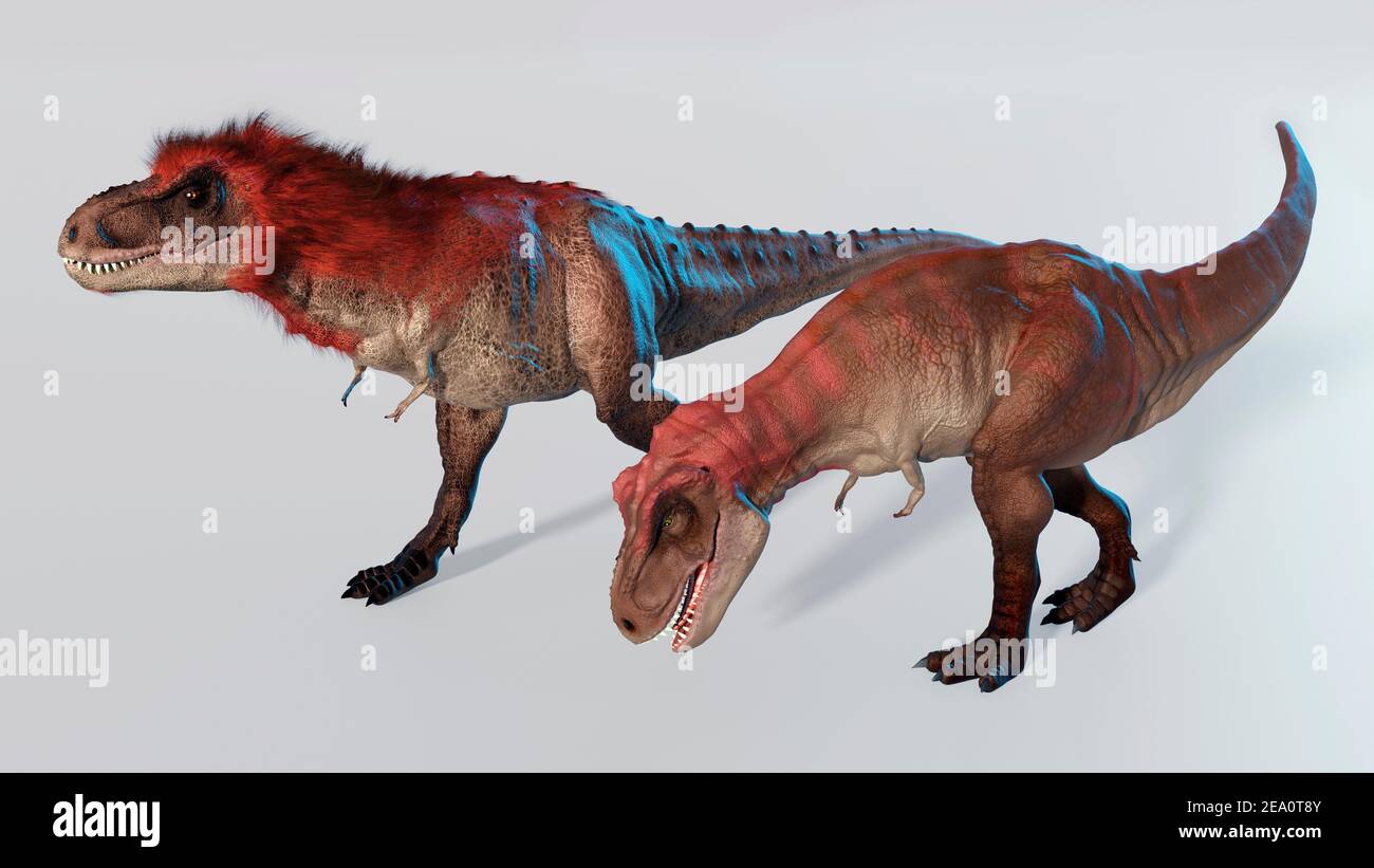 Artwork of a pair of tyrannosaurus Stock Photo