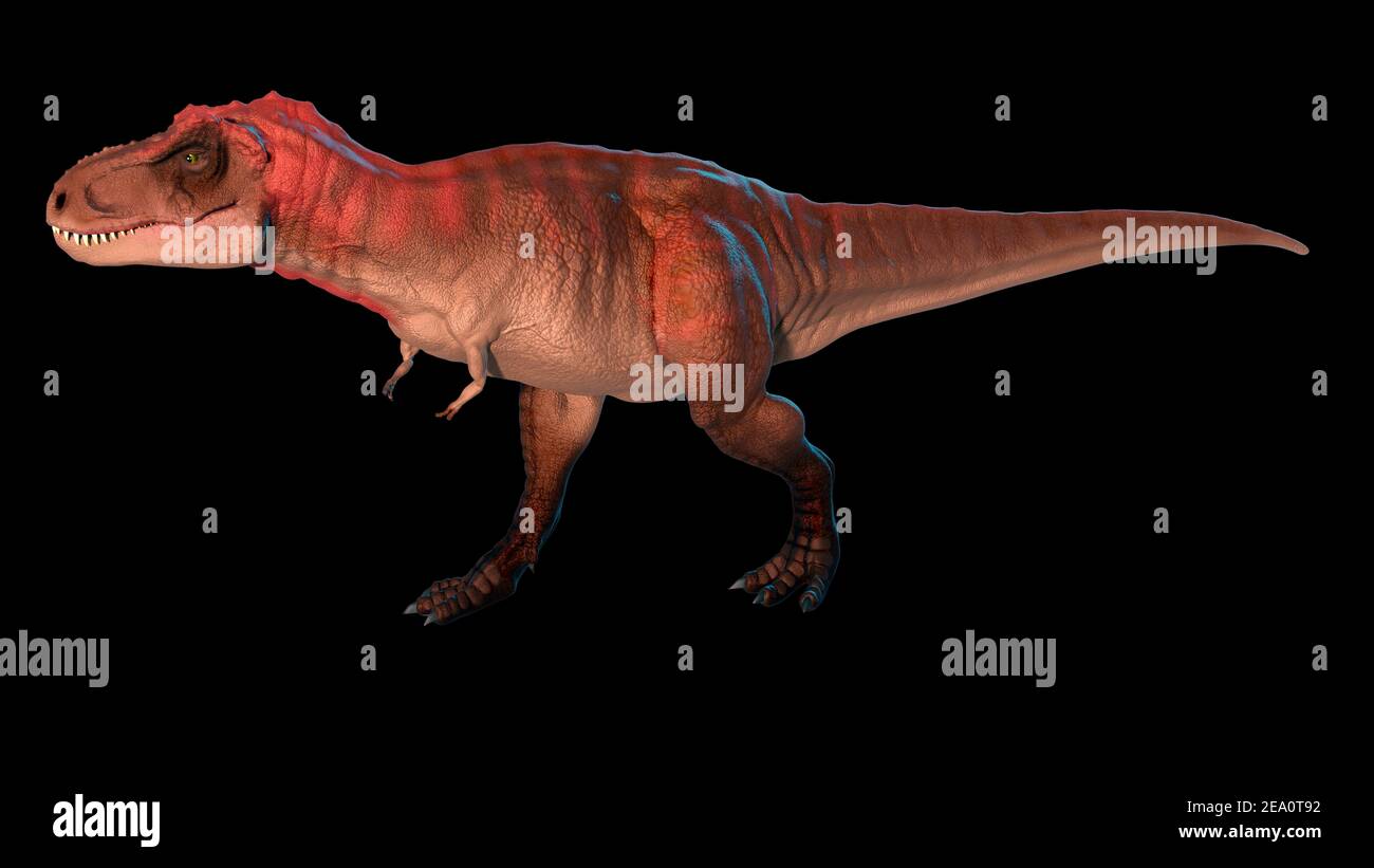 Artwork of a tyrannosaurus Stock Photo
