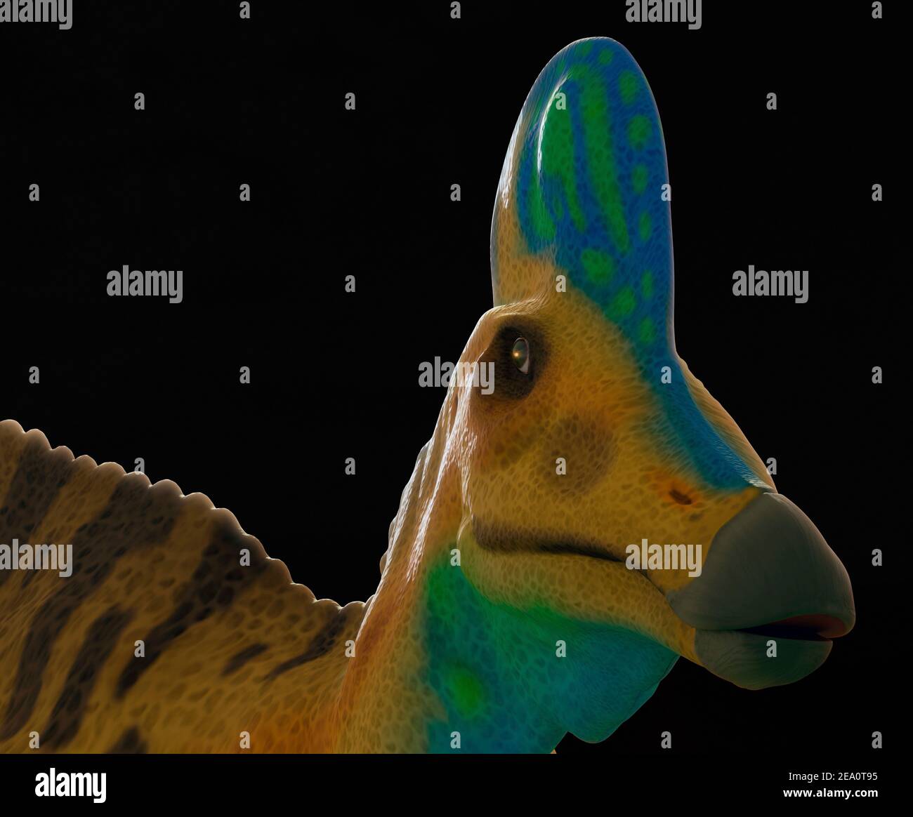 Page 2 Corythosaurus High Resolution Stock Photography And Images Alamy