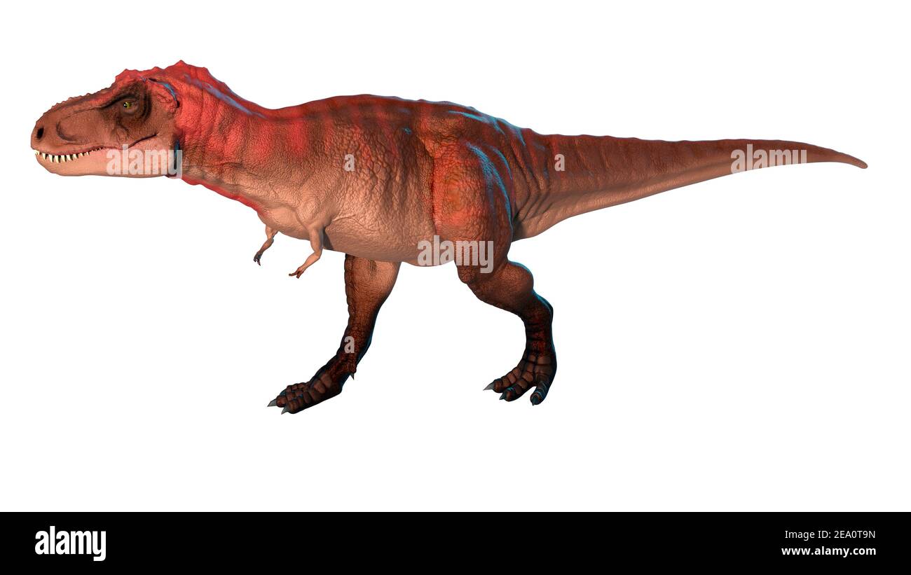 Artwork of a tyrannosaurus Stock Photo - Alamy