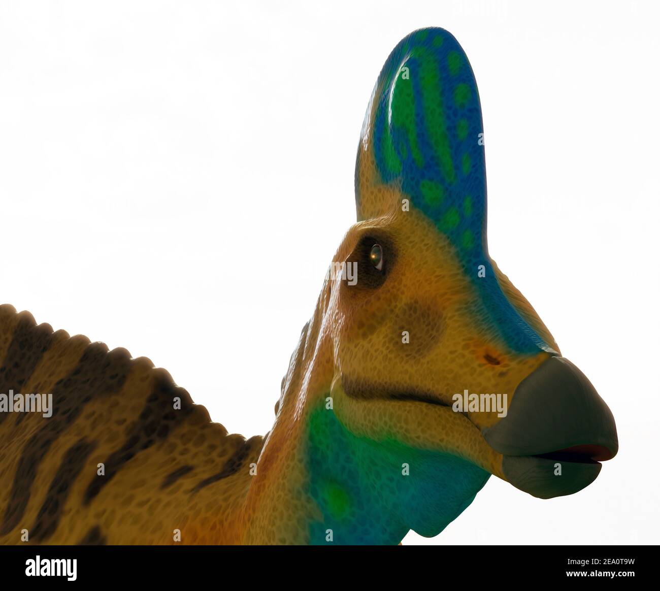 Corythosaurus Casuarius High Resolution Stock Photography And Images Alamy