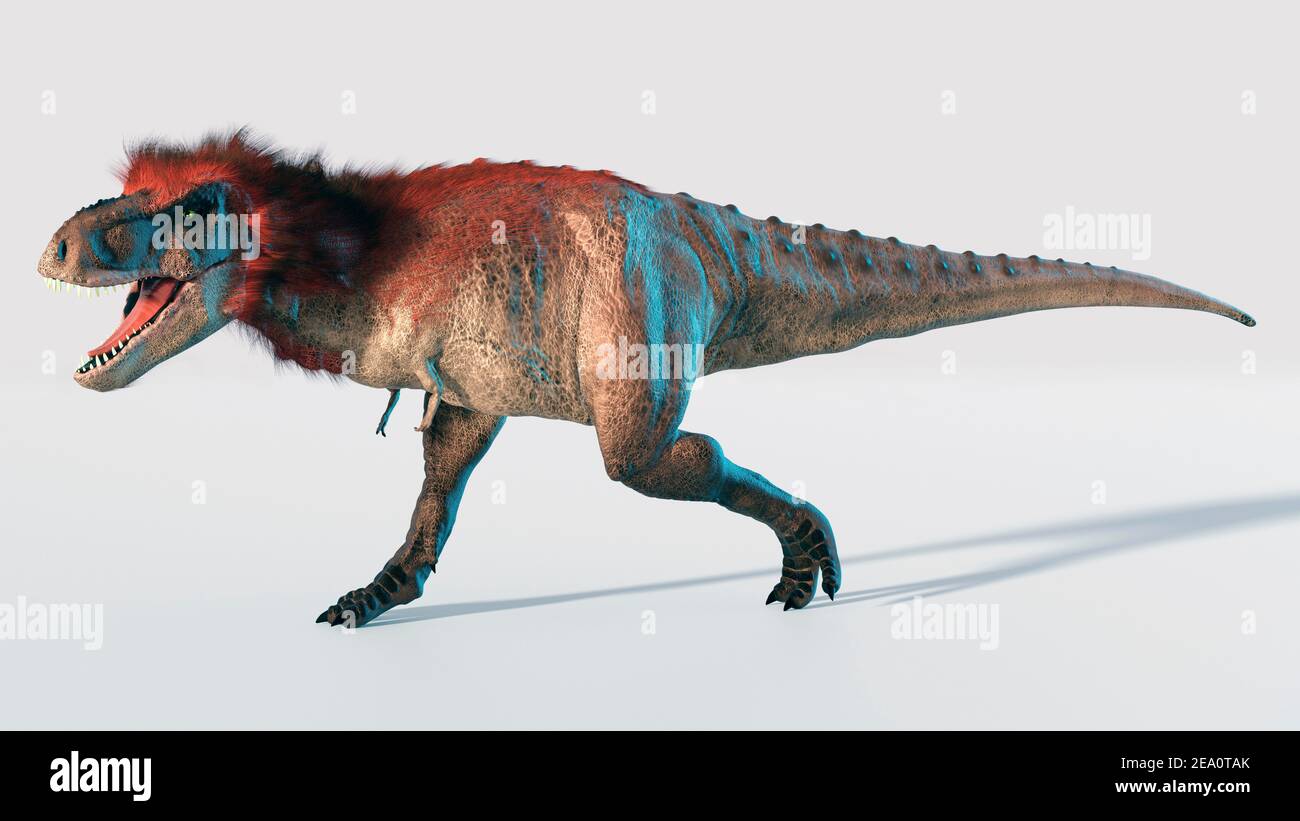 Artwork of a feathered tyrannosaurus Stock Photo