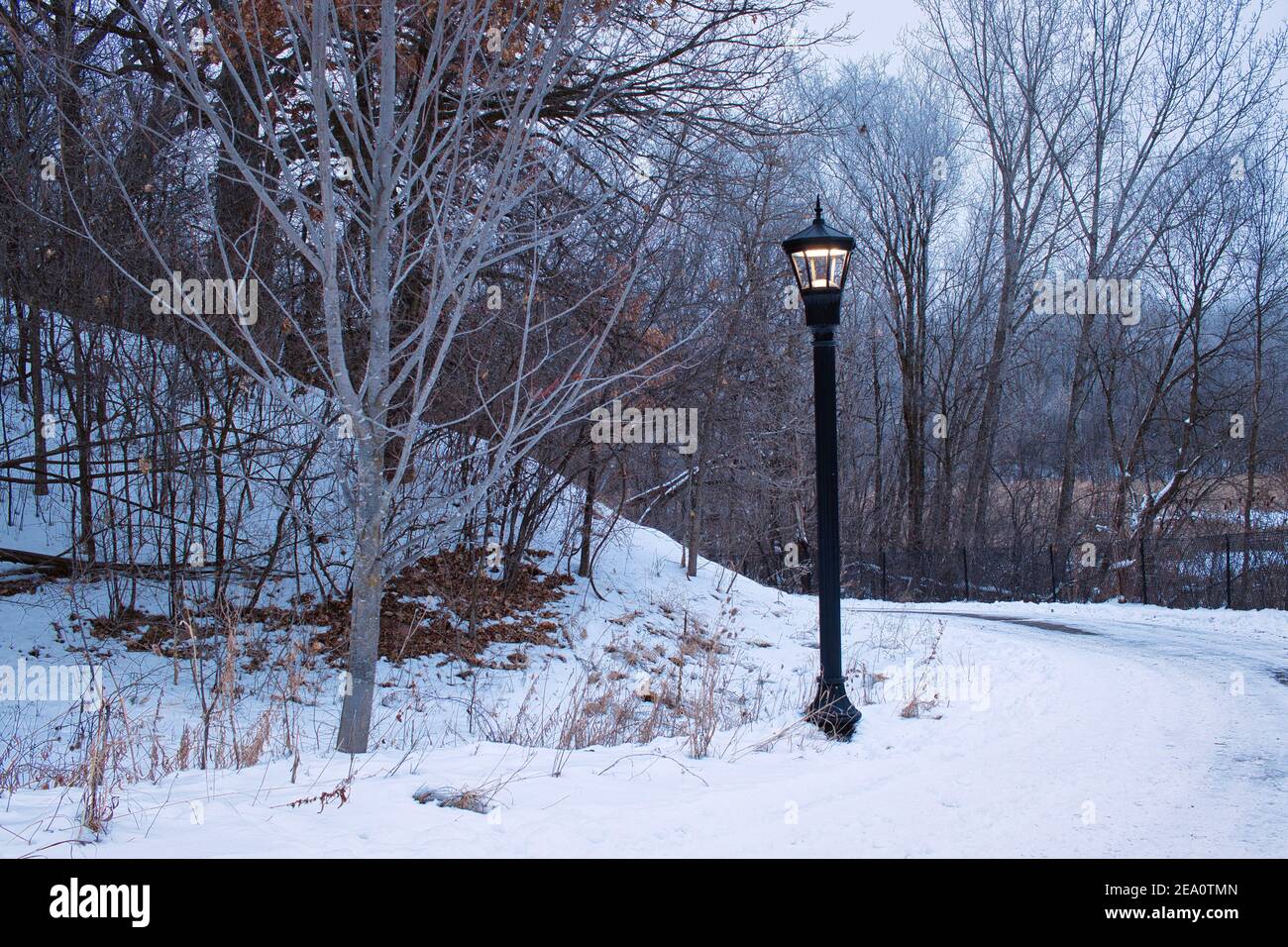 Chronicles of Narnia, snow, lamp, post, aslan, ice, HD phone