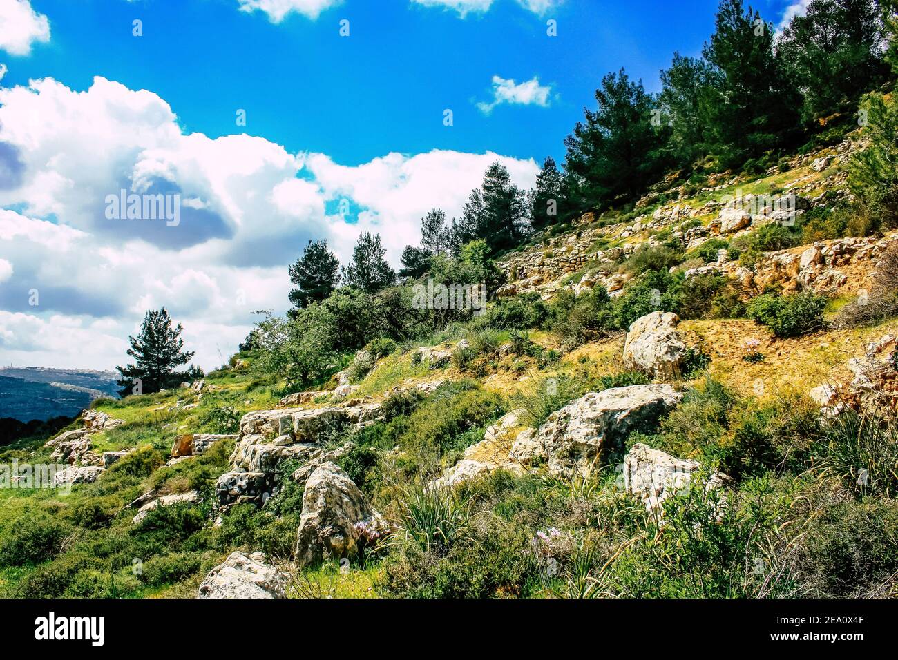 Panorama and view of the Jerusalem hills and the White Valley, The ...