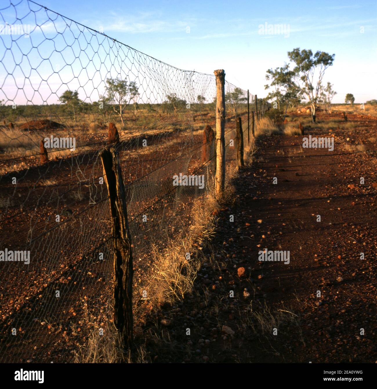 REMNANTS OF THE DOG (DINGO) FENCE OUTBACK AUSTRALIA. Stock Photo