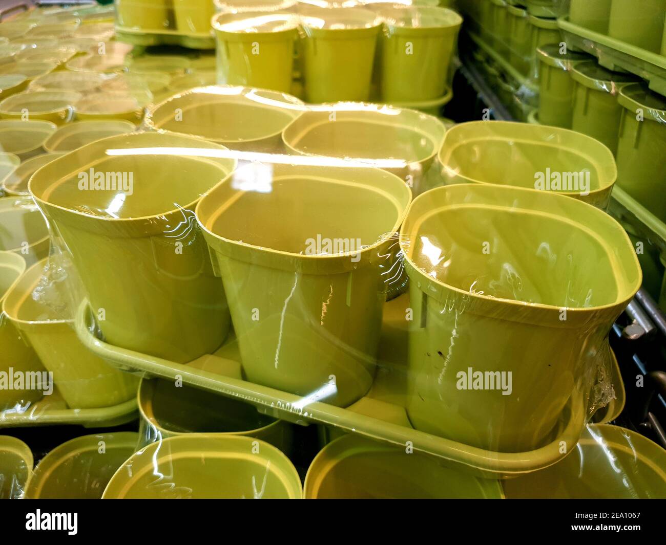 plastic cups for seeds and seedlings in the plant store Stock Photo Alamy