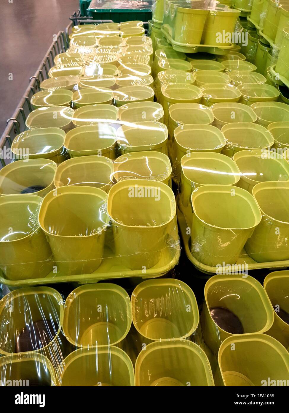 plastic cups for seeds and seedlings in the plant store Stock Photo Alamy