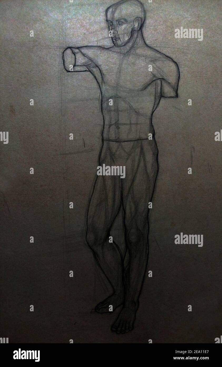 anatomy , Art ,drawing ,Fine art ,Light and shadow, bust Stock Photo