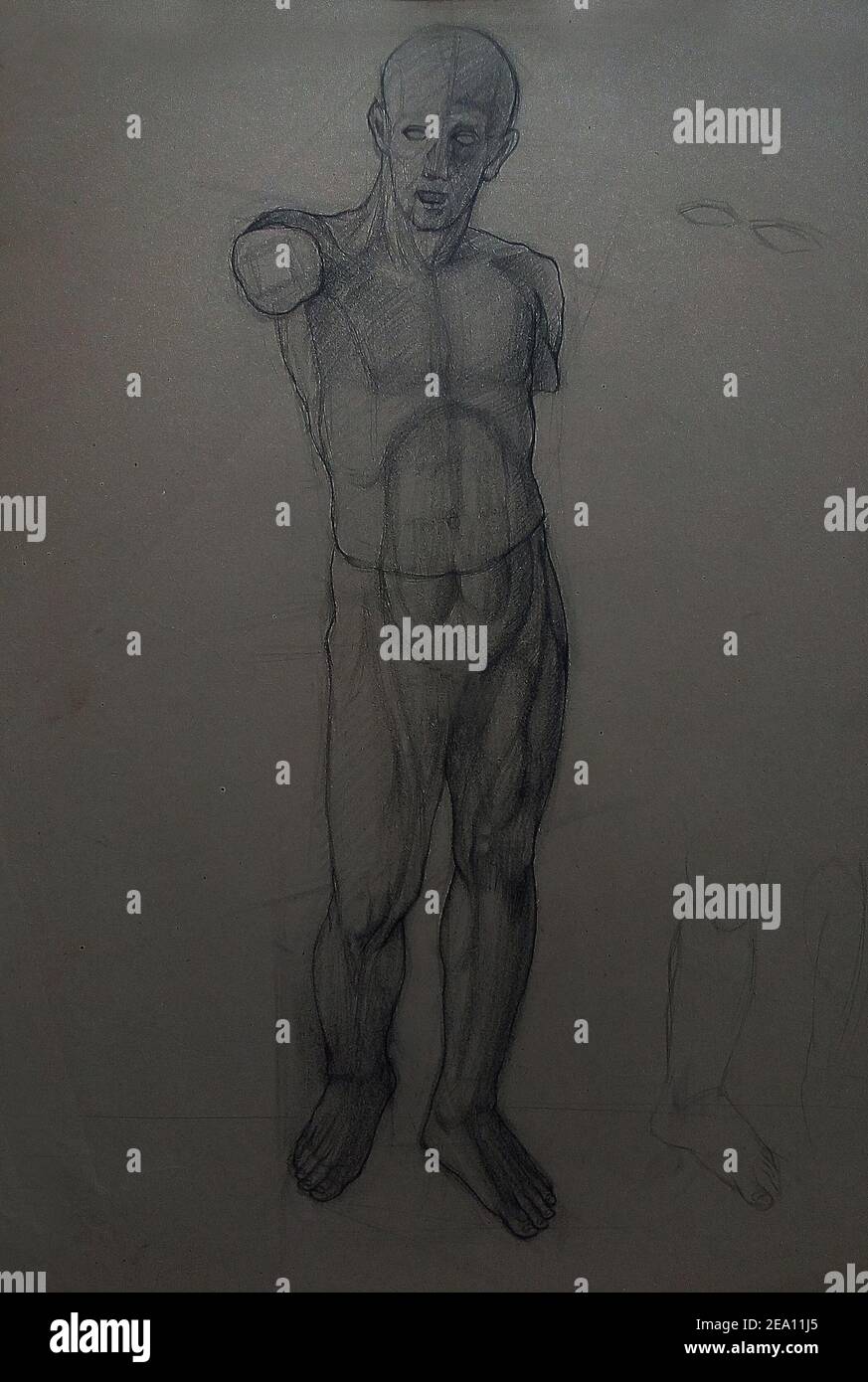 Art , anatomy  drawing ,Fine art ,Light and shadow, bust Stock Photo