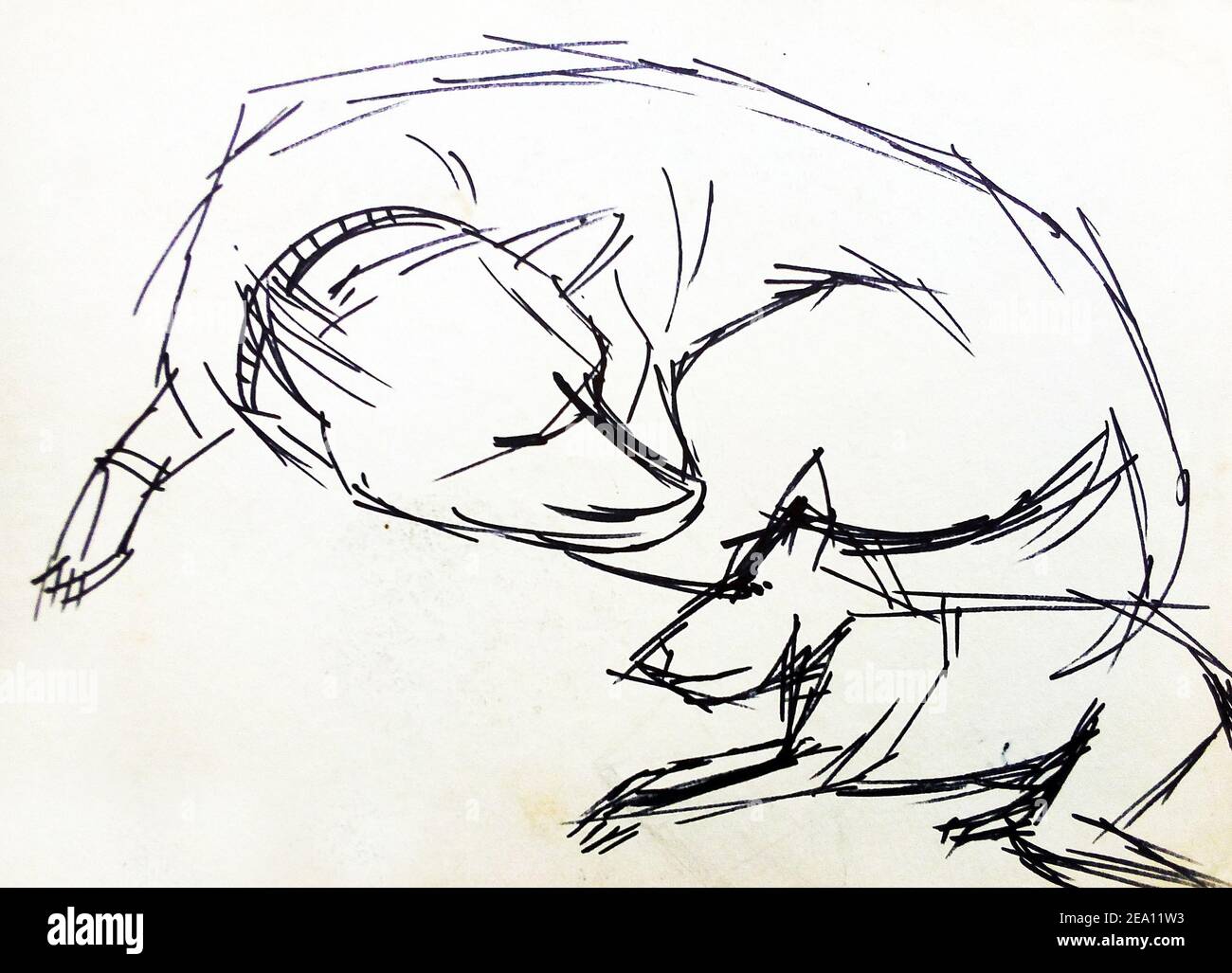 Art ,Drawing ,Fine art ,Sketch ,Cute dog, Thailand Stock Photo