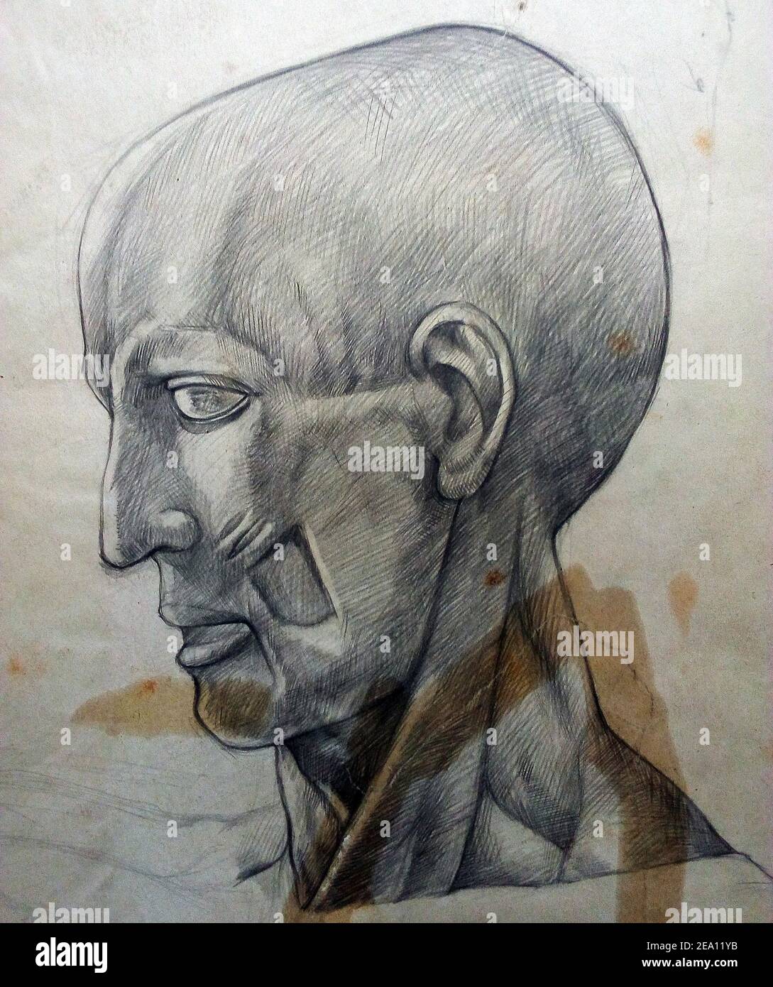 Art ,drawing ,Fine art ,Light and shadow, bust Stock Photo